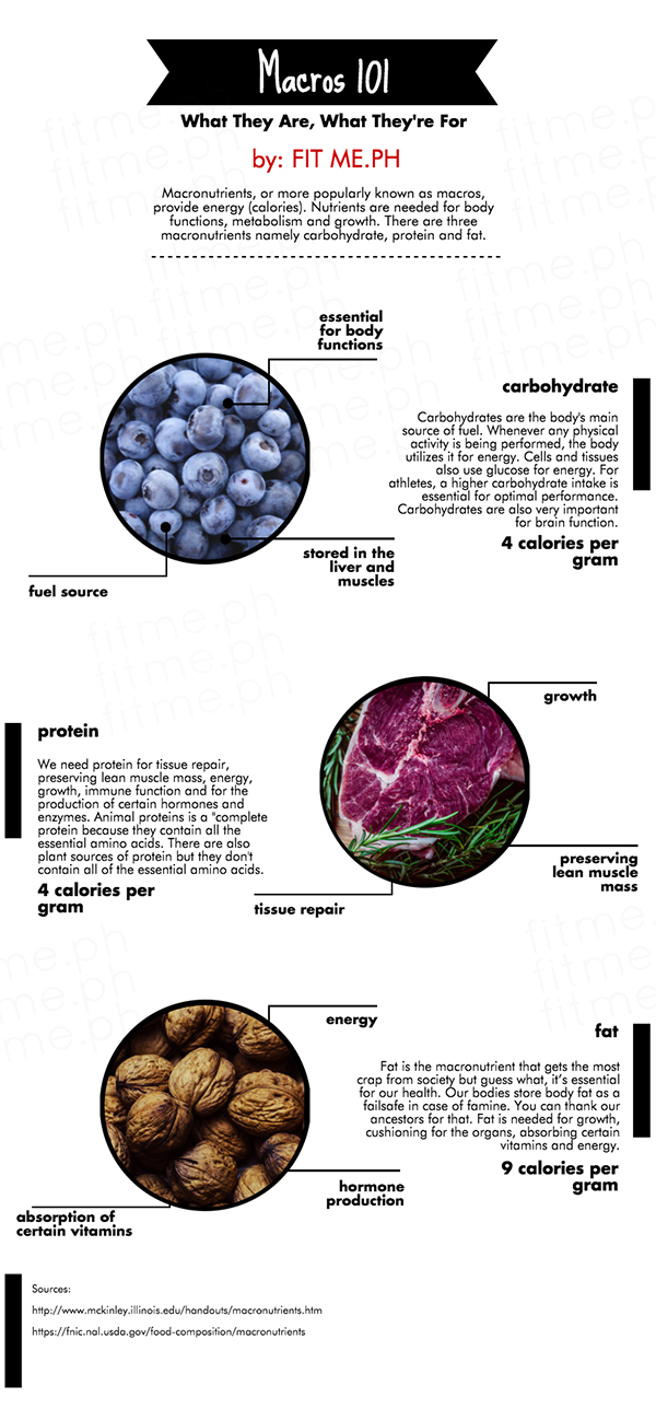 what are macros infographic
